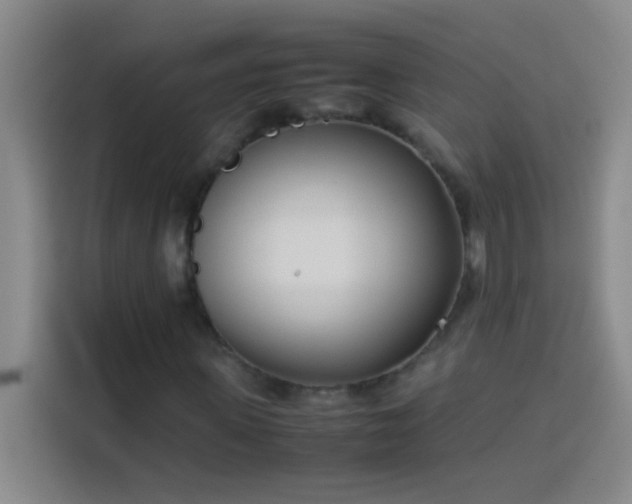 X0000113910915200910011445