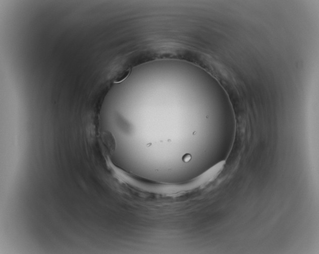 X0000113910916200910011446