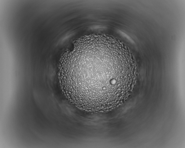 X0000113910917200910011446