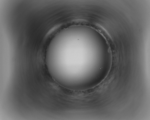 X0000113910919200910011446