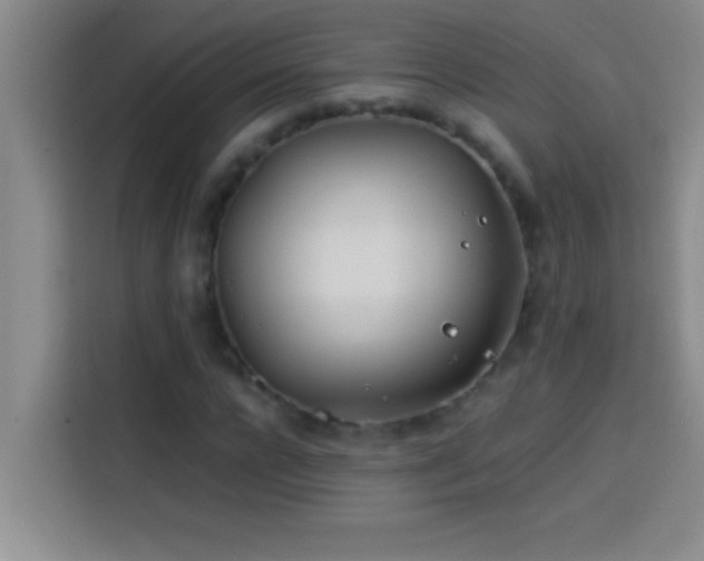 X0000113910920200910011446