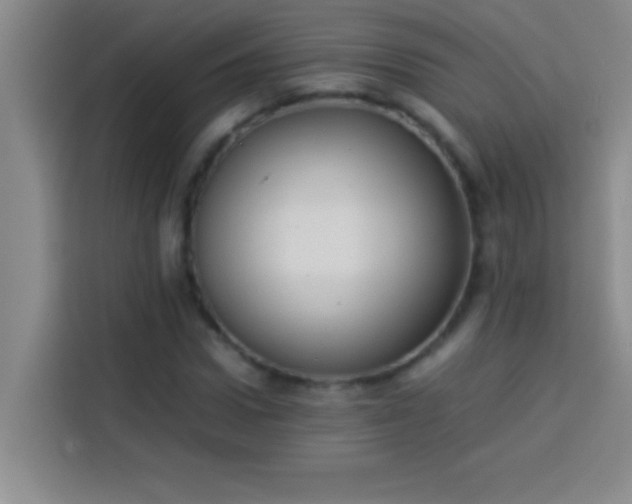 X0000113910922200910011446