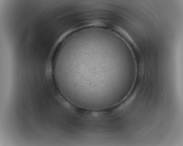 X0000113910923200910011446