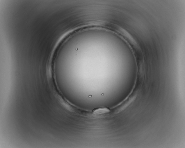 X0000113910924200910011446