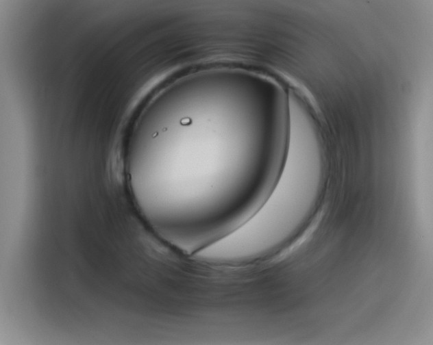 X0000113910925200910011446