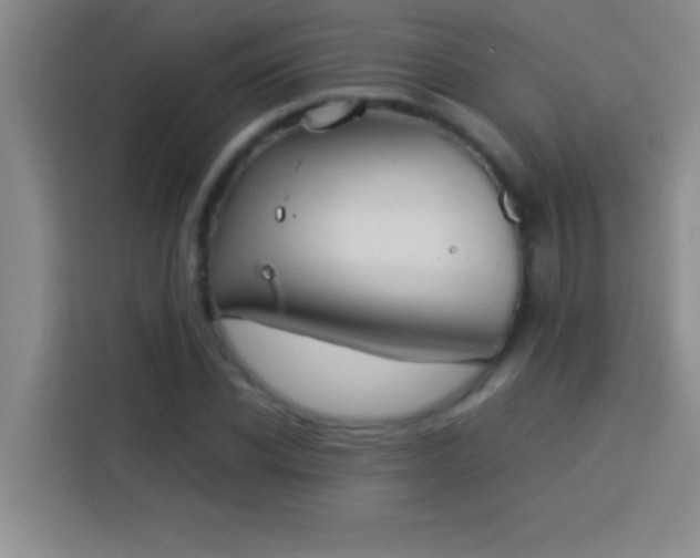 X0000113910926200910011446