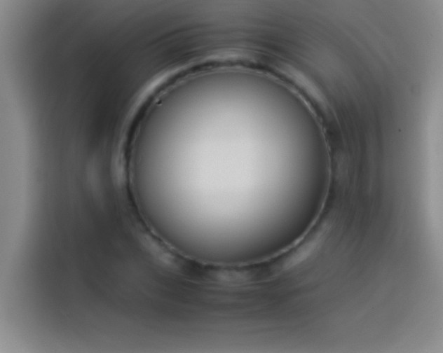 X0000113910927200910011446