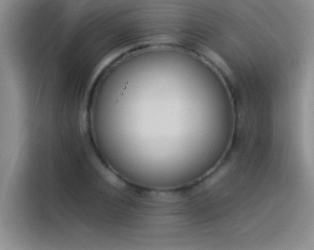 X0000113910928200910011446