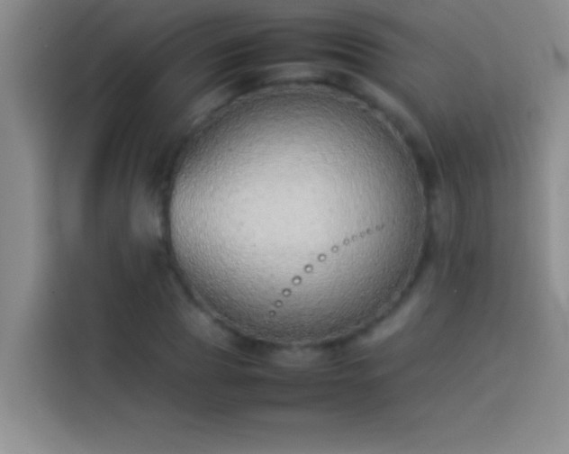 X0000113910929200910011446