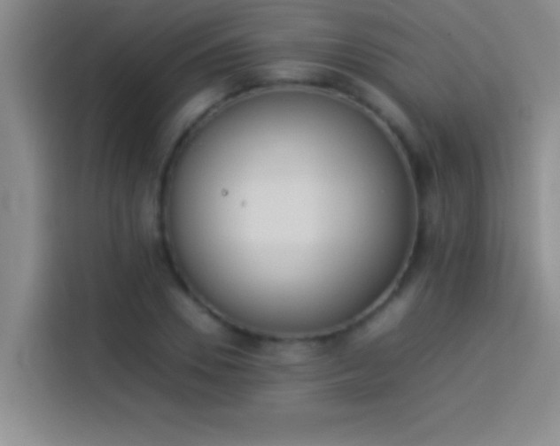 X0000113910930200910011446