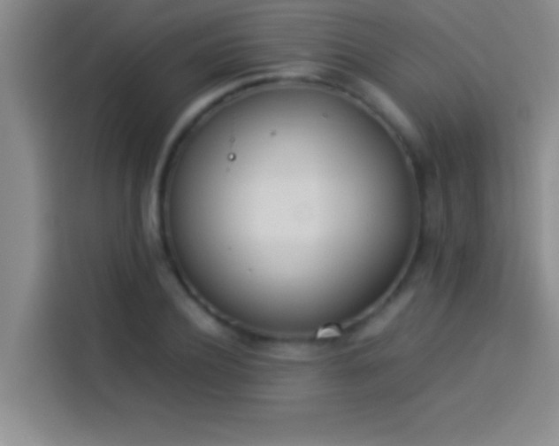 X0000113910932200910011446