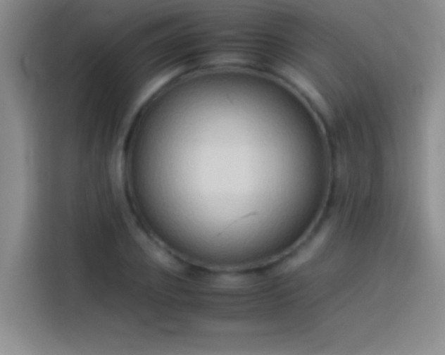 X0000113910933200910011446