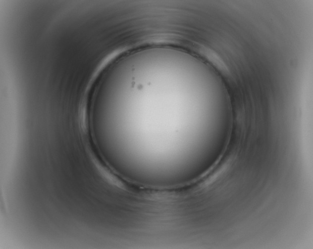 X0000113910934200910011446