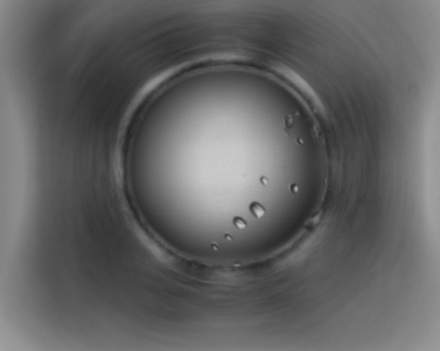 X0000113910935200910011446