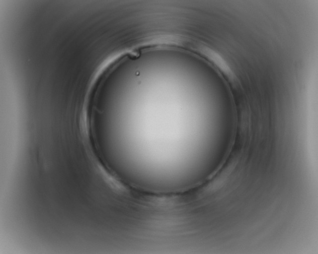 X0000113910936200910011446