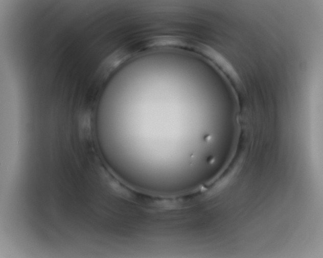 X0000113910937200910011446