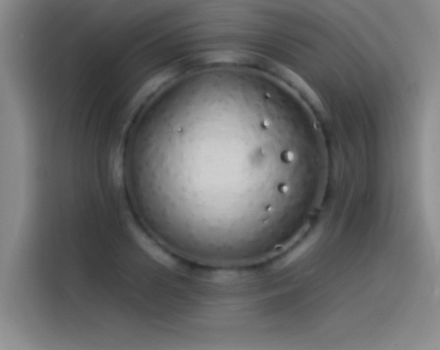 X0000113910938200910011446