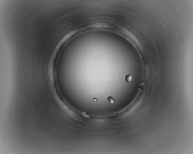 X0000113910939200910011446