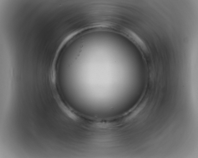 X0000113910940200910011446