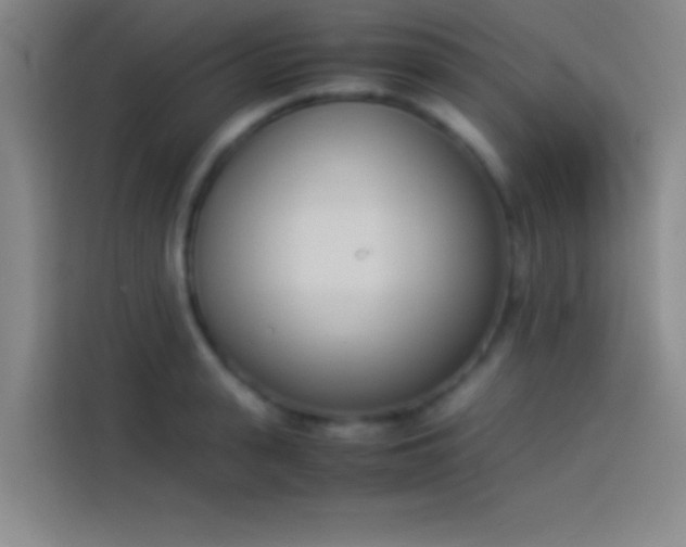 X0000113910943200910011446