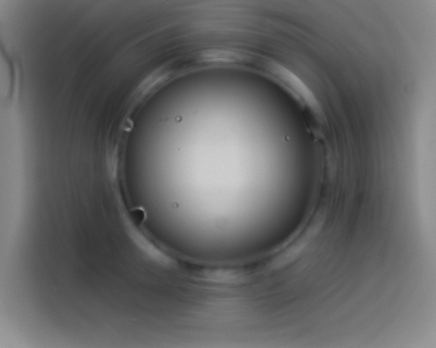 X0000113910946200910011446