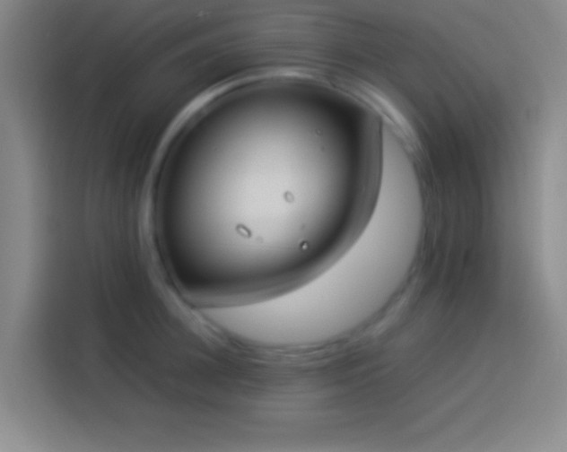 X0000113910948200910011446