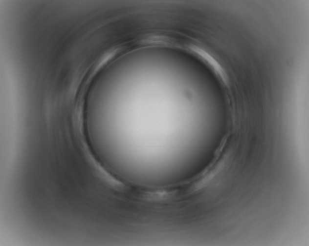 X0000113910949200910011446