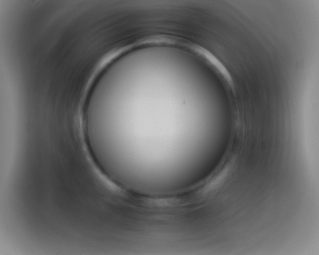 X0000113910951200910011446