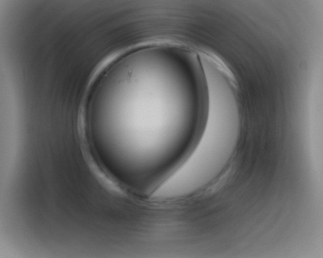 X0000113910952200910011446