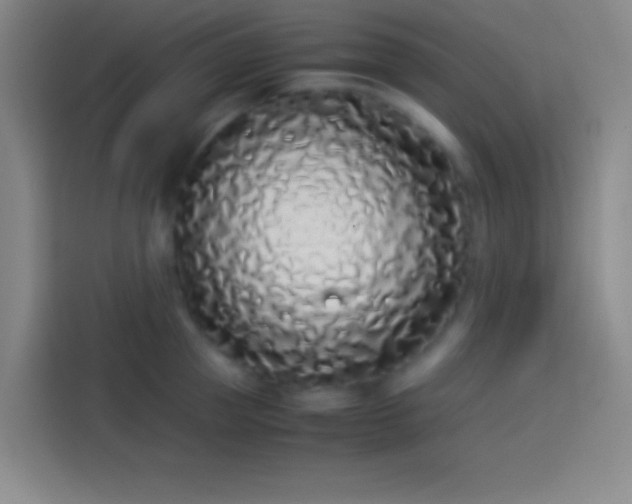 X0000113910953200910011446