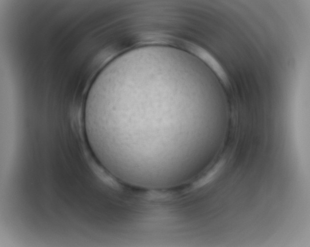 X0000113910954200910011446