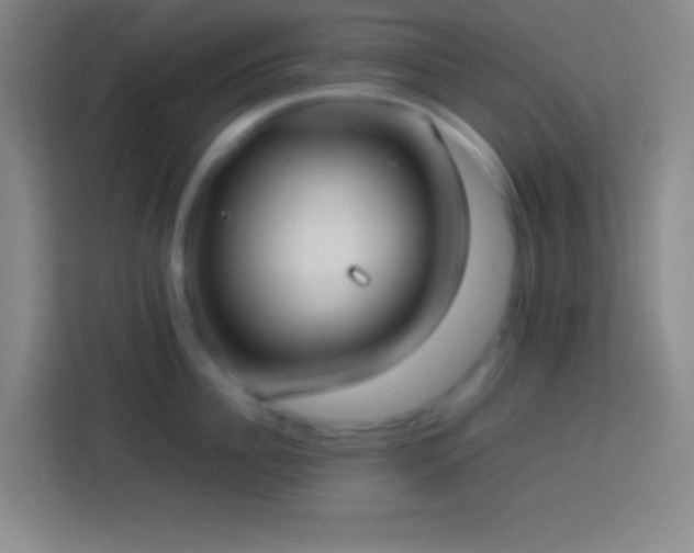 X0000113910956200910011446