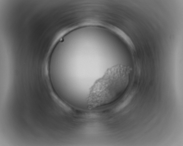 X0000113910958200910011446