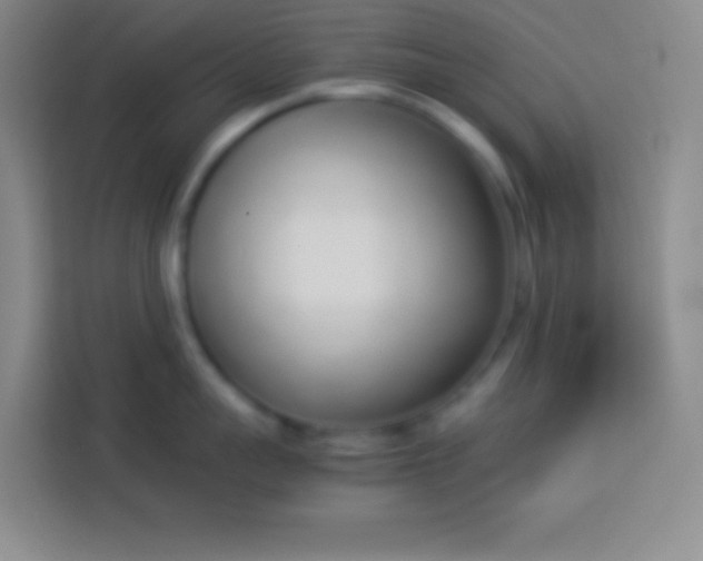 X0000113910959200910011446