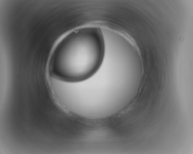 X0000113910960200910011446