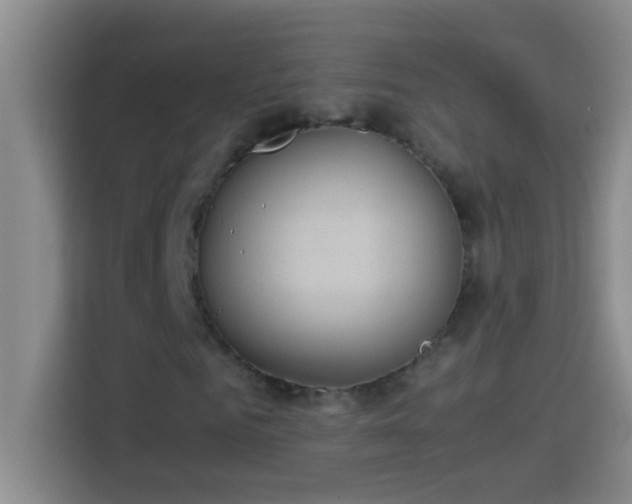 X0000113910961200910011445