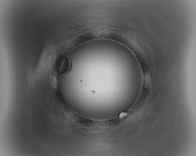 X0000113910963200910011445