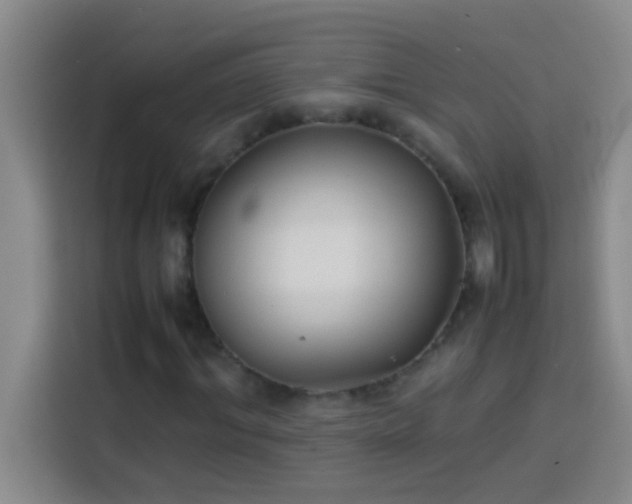 X0000113910964200910011445