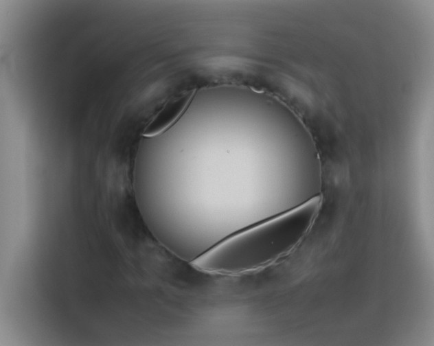 X0000113910965200910011445