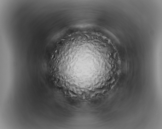 X0000113910966200910011445