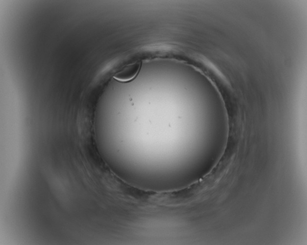 X0000113910967200910011445