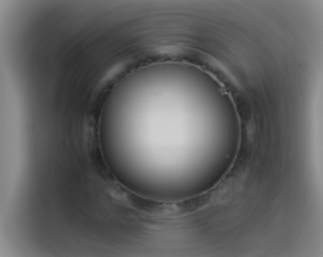 X0000113910968200910011445