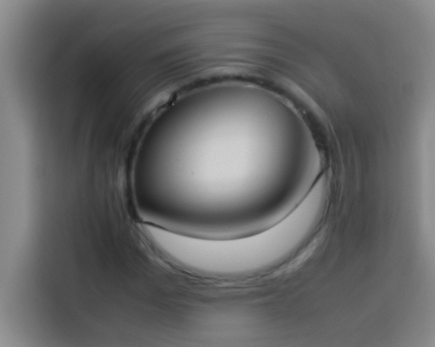 X0000113910969200910011445