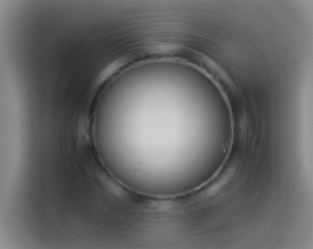 X0000113910970200910011445