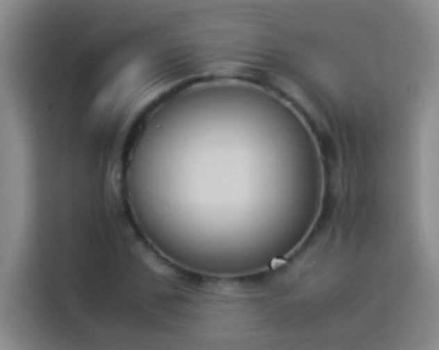 X0000113910971200910011445