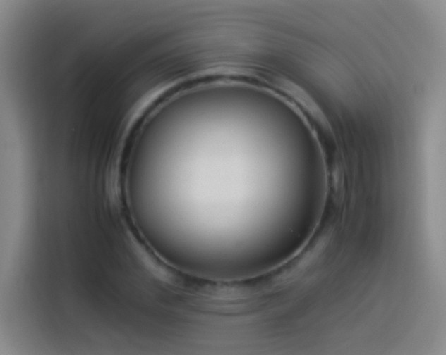 X0000113910972200910011445