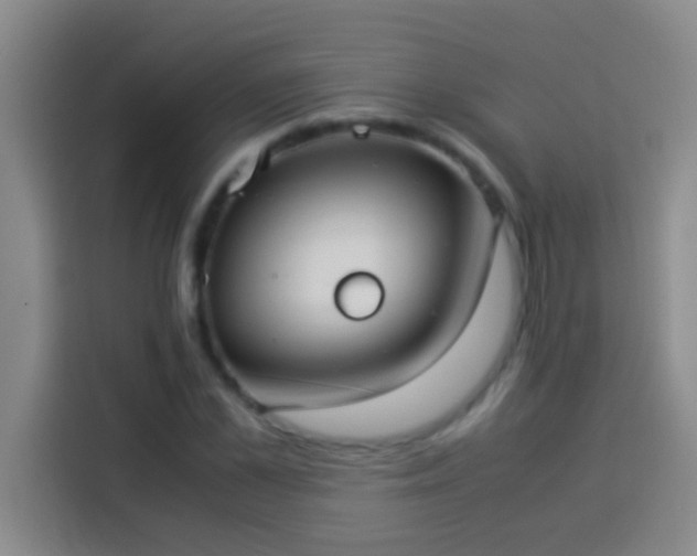 X0000113910973200910011445