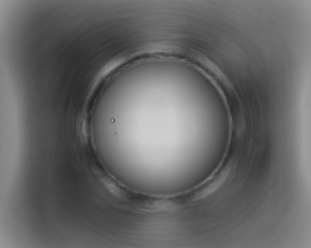 X0000113910974200910011445