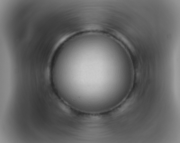 X0000113910975200910011445