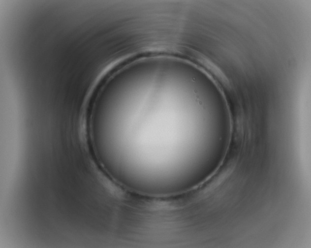 X0000113910976200910011445